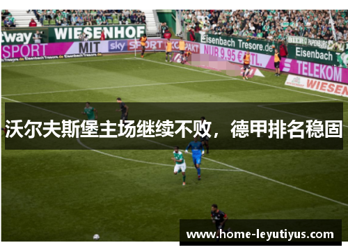 沃尔夫斯堡主场继续不败，德甲排名稳固